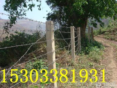 公路護欄網 工地護欄網 軋花網廠家 圍欄網 勾花網重量 波浪護欄網 公路護欄網報價 圖片_高清圖_細節圖-河北華光交通設施 -