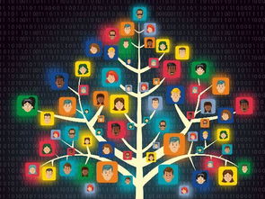 網(wǎng)絡(luò)營銷策劃 如何根據(jù)崗位職級精準(zhǔn)賦能與分工